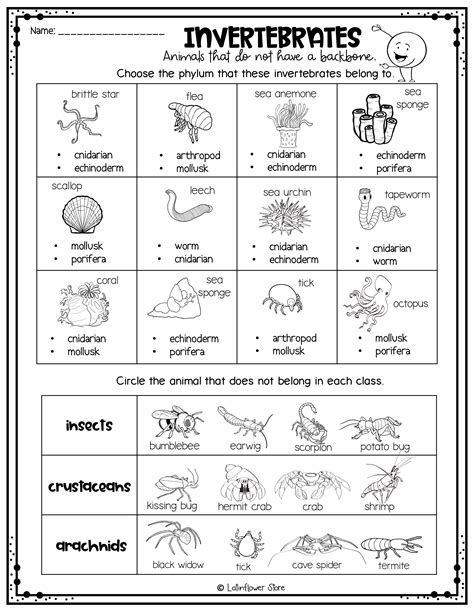 Vertebrates And Invertebrates Liveworksheets