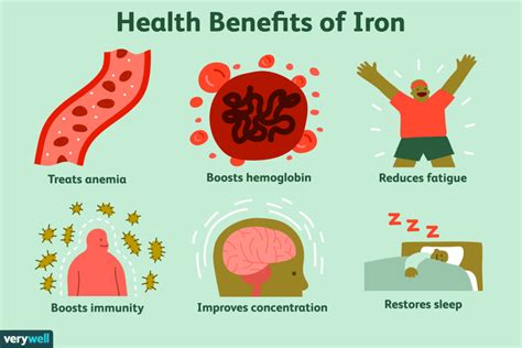 Pin on iron importance in the body