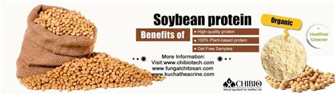 Soybean protein - Vegetal Chitosan Manufacturer