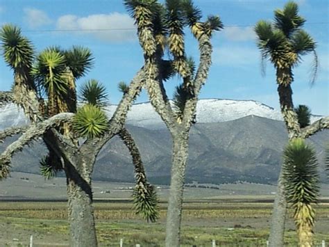 108 best images about Coahuila, Mexico on Pinterest | Mexico tours ...