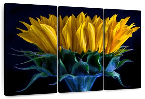 Sunflower Side View Wall Art | Photography