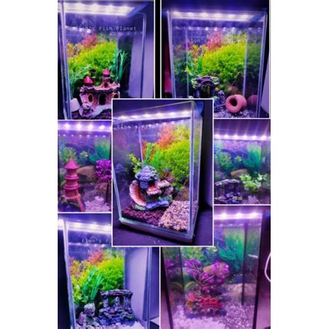 BETTA TANK (TALL) COMPLETE SET DECOR 6*4*8 | Shopee Philippines