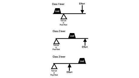 Draw three types of levers. Give atleast one example of each type of lever?