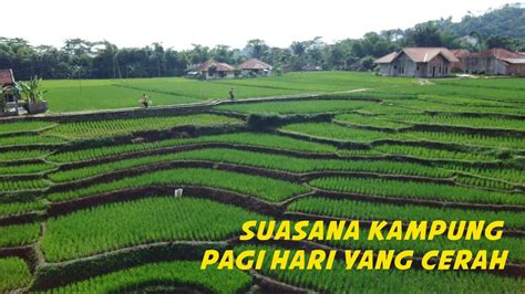 Menikmati Suasana Kampung Indah Ditengah Sawah, Keindahan Pedesaan Jawa Barat Pagi Hari - YouTube