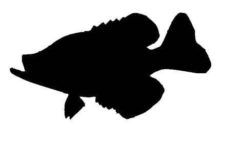 Free Crappie Cliparts, Download Free Crappie Cliparts png images, Free ClipArts on Clipart Library