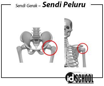 Detail Contoh Sendi Peluru Koleksi Nomer 11