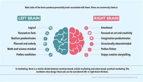 Brain Top View Left Right