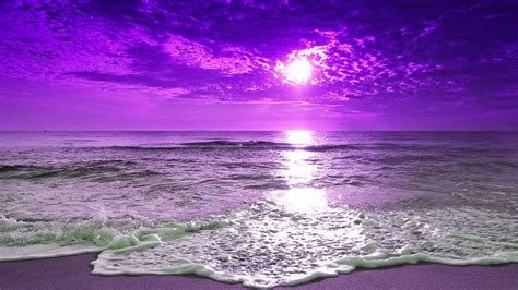 Beach During Purple Sunrise HD Purple Wallpapers | HD Wallpapers | ID #36973