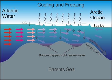 Water mass formation | Physical Oceanography | UiB