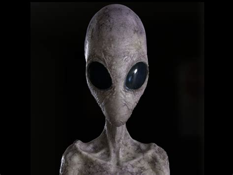 Alien (Extraterrestrial, 2014) | Alien Species | Fandom