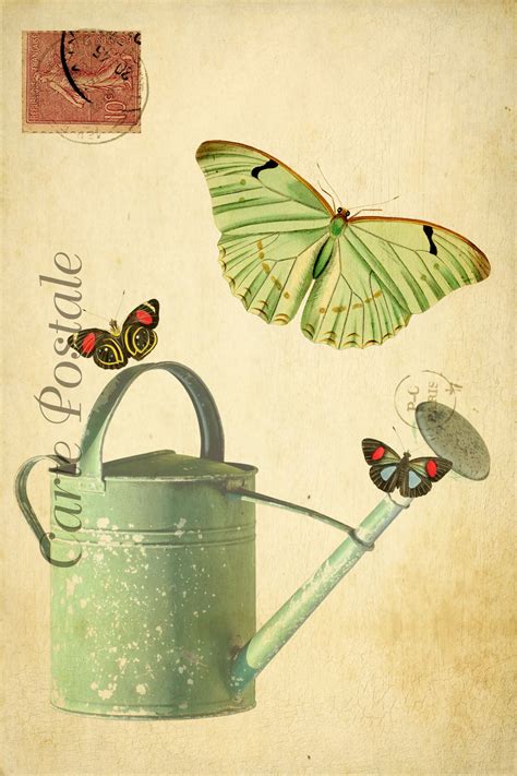 Vintage Butterfly Art Postcard Free Stock Photo - Public Domain Pictures