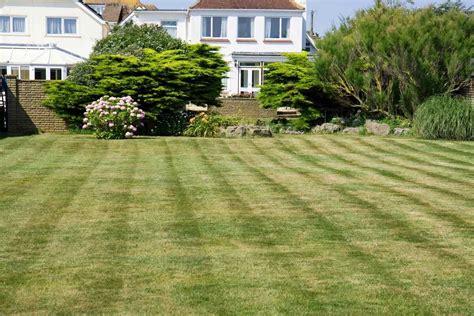 How to Add Stripes to Your Lawn Like a Pro