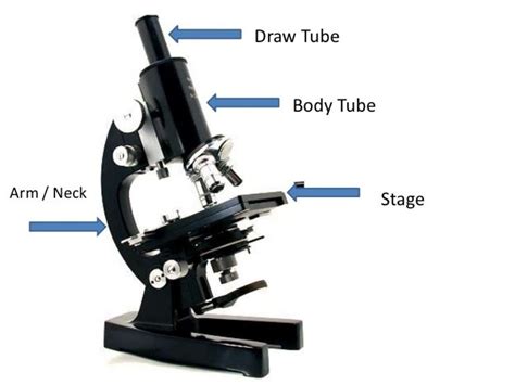 Microbiology (Microscope)