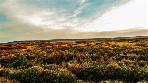 Download free photo of Moor,landscape,nature,scenery,outdoor - from ...