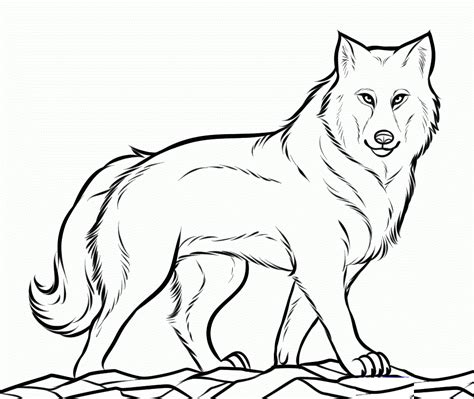 Free Printable Wolf Coloring Pages For Kids