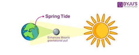 Spring Tide - Definition, Working, FAQs