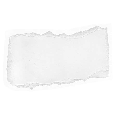 Torn Paper Texture Blank Labels and Scrap Backgrounds PNG | PNG All