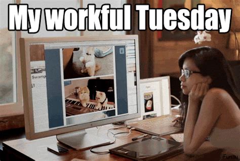 Happy Tuesday GIFs | USAGIF.com