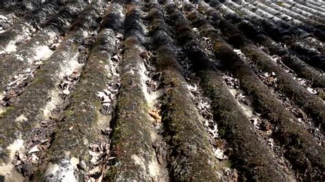 Asbestos Roof, Stock Footage | VideoHive