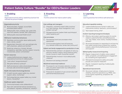 A Framework for Establishing a Patient Safety Culture