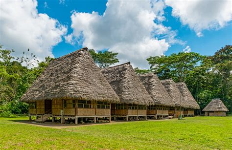 Amazon Rainforest Housing Ecuador Stock Photo - Download Image Now - iStock