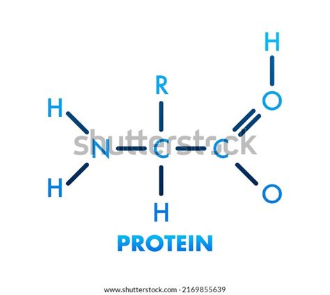 454 Phenylalanine Structure Images, Stock Photos & Vectors | Shutterstock