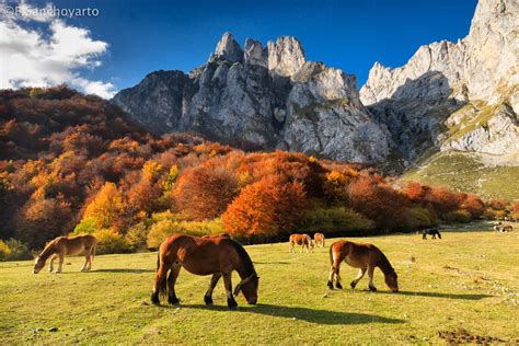 Escuela Cántabra de Fotografía de Naturaleza: Fotografía de Otoño en Los Picos de Europa. 7, 8 y ...