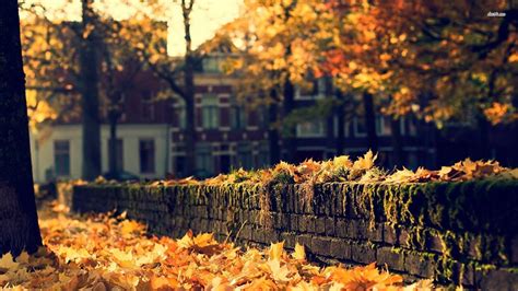 Cozy Fall Desktop Wallpapers - Top Free Cozy Fall Desktop Backgrounds - WallpaperAccess