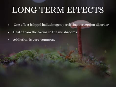 Psilocybin Mushrooms by Tyler Durham