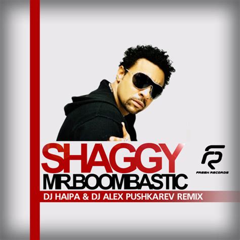 Stream Shaggy – Mr. Boombastic (DJ Haipa & DJ Alex Pushkarev Remix) by ...