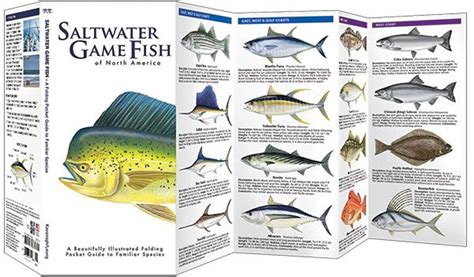 Saltwater Game Fish of North America (Pocket Fish Identification Guide®)