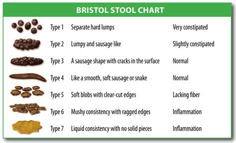 Most Common Cause Of Light Colored Stool | Americanwarmoms.org