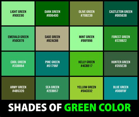 237+ Shades of Green Color (Names, HEX, RGB, & CMYK Codes) – CreativeBooster