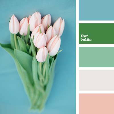 mint | Color Palette Ideas