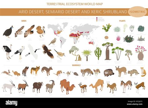 Desert biome, xeric shrubland biome, natural region infographic. Terrestrial ecosystem world map ...