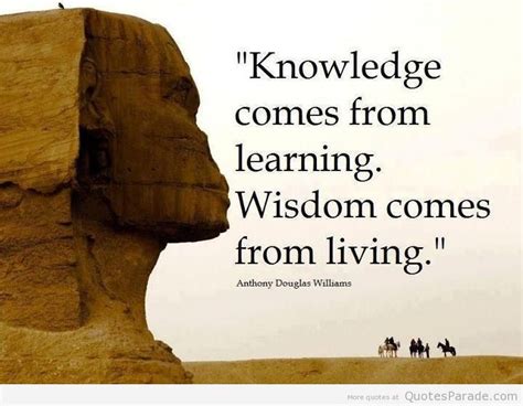 Quotes About Knowledge And Wisdom. QuotesGram