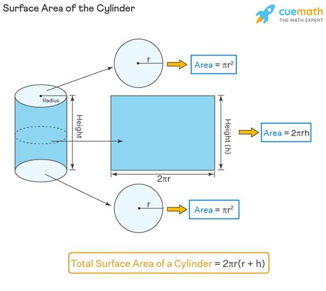 Surface Area of a Cylinder - Formula, TSA and CSA