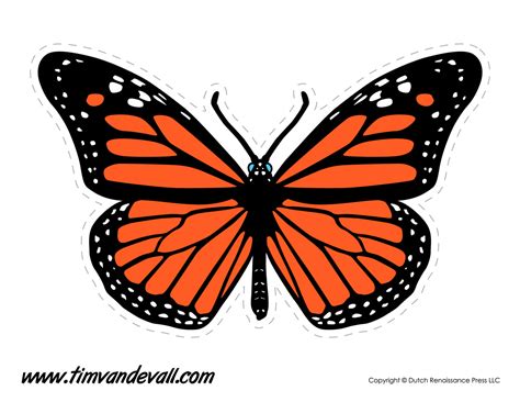 Butterfly Decoration - Tim's Printables