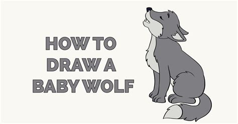 How to Draw a Baby Wolf - Really Easy Drawing Tutorial