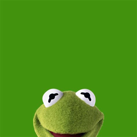 Kermit Wallpapers - Top Free Kermit Backgrounds - WallpaperAccess