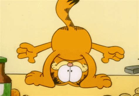 Garfield Funny GIF - Garfield Funny - Discover & Share GIFs