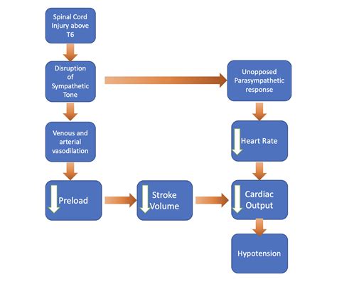 Neurogenic Shock – CriticalCareNow