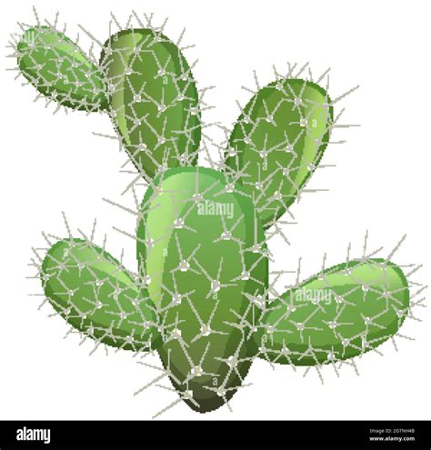 Prickly Pear Cactus Clip Art