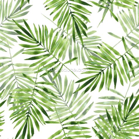 Green Palms Wallpaper | Wallsauce US