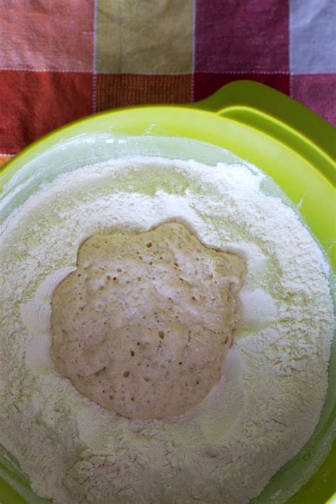 How to Make Yeast Dough - Savory Nothings