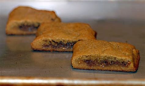 Fig Newtons | Healthy Fig Newton Recipe