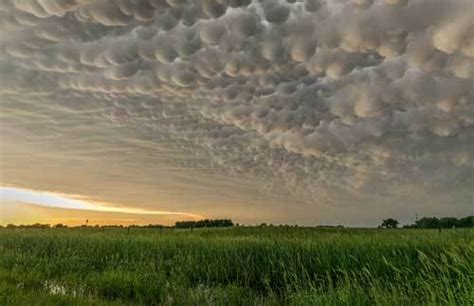 Bubble Clouds: Defining Mammatus Clouds And How They Form