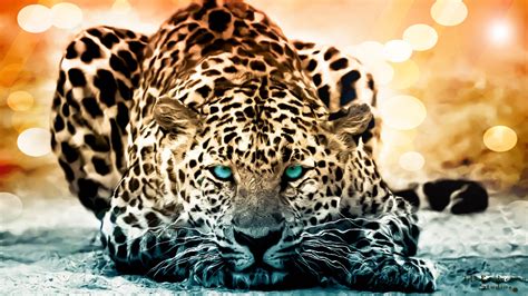 Leopard Desktop Wallpaper