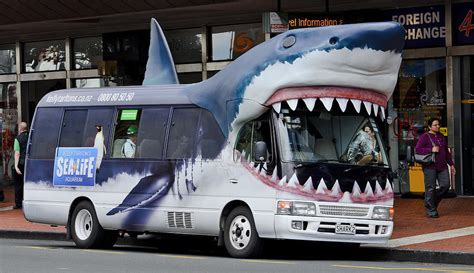 Shark Bus Photograph by Bob VonDrachek - Pixels