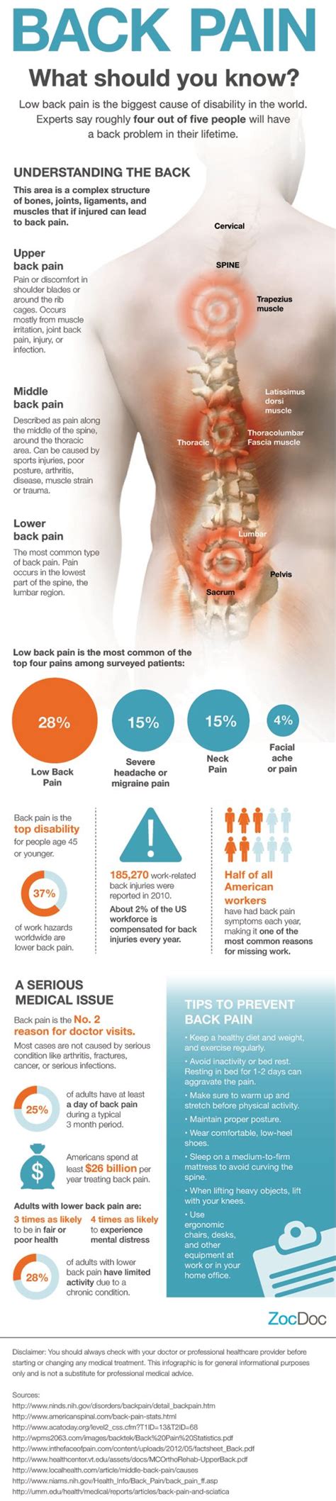 [INFOGRAPHIC] Chronic Back Pain: What you Should Know - Comprehensive Pain Management Center